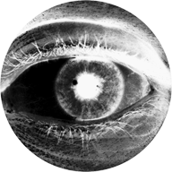 Orin Buck's photo of a photographer's eye