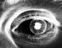 Buck Art (eye of a photographer, photographed by Orin Buck)